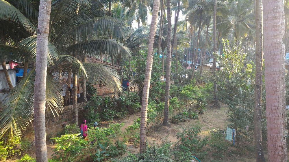 La Alegro Hotel Bãi biển Bãi biển Palolem Ngoại thất bức ảnh